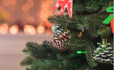 Warum künstliche Weihnachtsbäume die bessere Wahl sind
